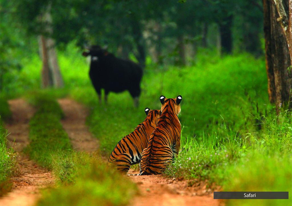 The Serai บันดีปูร์ ภายนอก รูปภาพ